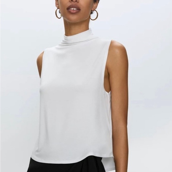 Aritzia Babaton Tank Top - Picture 3 of 3